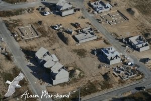 P1550094 2022 08 03 Allée Des Aigrettes, Des Spatules